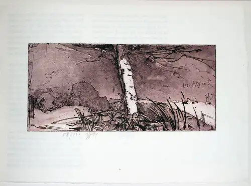 (Kaufmann, Gerhard) (Hrsg.): Horst Janssen: Landschaften 1984-1994. [Ausstellung] zum 65. Geburtstag. Altonaer Museum in Hamburg, Norddeutsches Landesmuseum. 