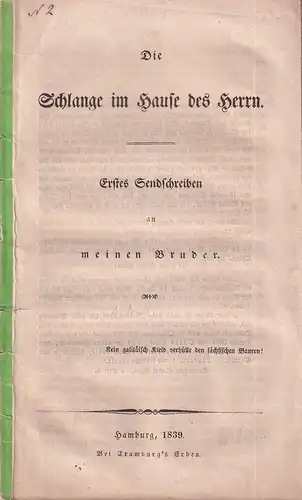 (Palm, Gustav): Die Schlange im Hause des Herrn. Erstes Sendschreiben an meinen Bruder. 