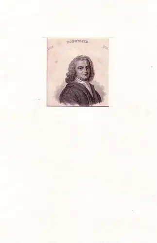 PORTRAIT Herman Boerhave. (1668 Voorhout bei Leiden - 1738 Leiden, niederländ. Mediziner und Botaniker). Schulterstück im Dreiviertelprofil. Stahlstich, Boerhaave, Herman