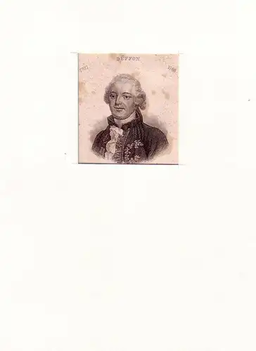 PORTRAIT Buffon. (1707 Montbard - 1788 Paris, französischer Naturforscher). Schulterstück im Dreiviertelprofil. Stahlstich, Buffon, Georges Louis Leclerc Comte de