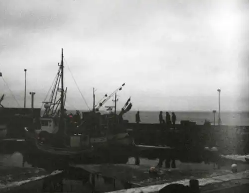 Janssen, Horst: Svanshall verkehrt. Aufzeichnungen einer süßen Verwirrung. 12.11.1985 bis 12.7.1986. 