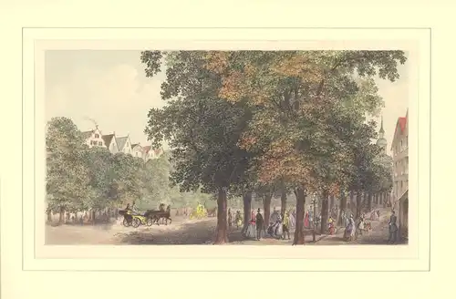 Palmaille (Pall Mall) Hamburg-Altona. Getönte Kreidelithographie, handkoloriert, Kirby, F. W. [William Forsell]