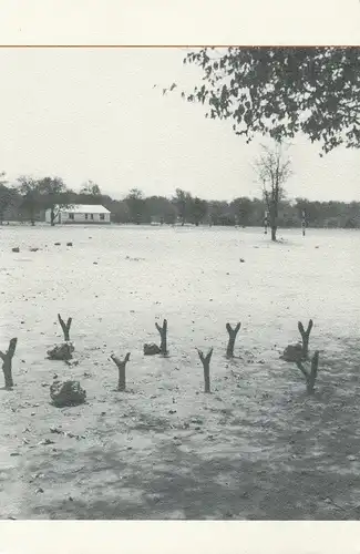 Lessing, Doris: Why a Small Black Child in Zimbabwe Stole a Book on Advanced Physics   Warum ein kleiner schwarzer Junge aus Simbabwe ein.. 