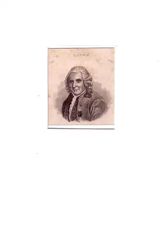 PORTRAIT Carl von Linné. (1707 Råshult bei Älmhult - 1778 Uppsala; schwedischer Naturforscher). Schulterstück im Dreiviertelprofil. Stahlstich, Linné, Carl von