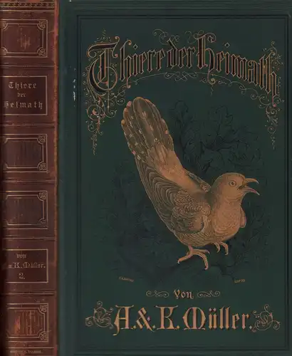 Müller, Adolf / Müller, Karl: Thiere der Heimath. Deutschlands Säugethiere und Vögel, geschildert von Adolf und Karl Müller. Mit Original Illustrationen nach Zeichnungen auf Holz.. 