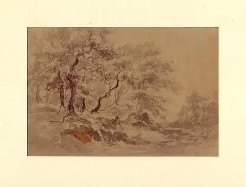 Ohne Titel (Weg in lichtem Waldstück). Lavierte Bleistiftzeichnung, Naturstudie