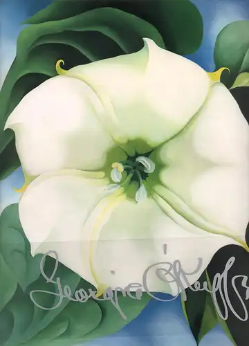 Blumen. Hrsg. v. Nicholas Callaway. (Aus dem Amerikanischen von Peter Kobbe), O'Keeffe, Georgia