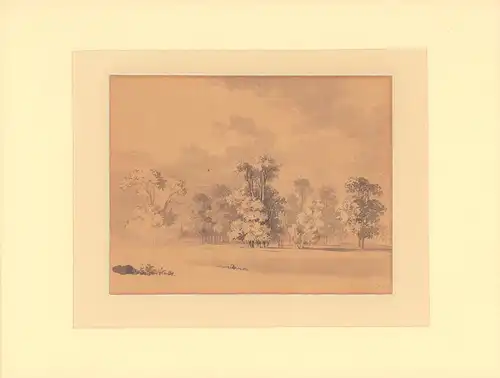 Eichenhain mit Sommerwolken. Sepia- und Tuschezeichnung, teils über Bleistift laviert, auf Papier, Richter, (Adrian) Ludwig (1803 - Dresden - 1884) zugeschrieben