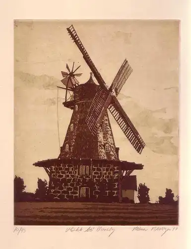 Mühle bei Övraby. Aquatintaradierung in Braun u. Oliv, Riediger, Reimer