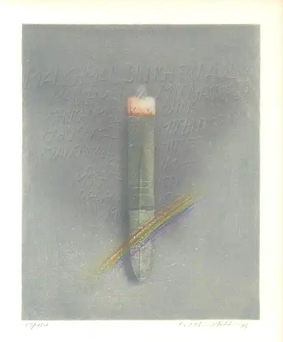 Schmidt-Stein, Michael: Manchmal bin ich ein Adler. 