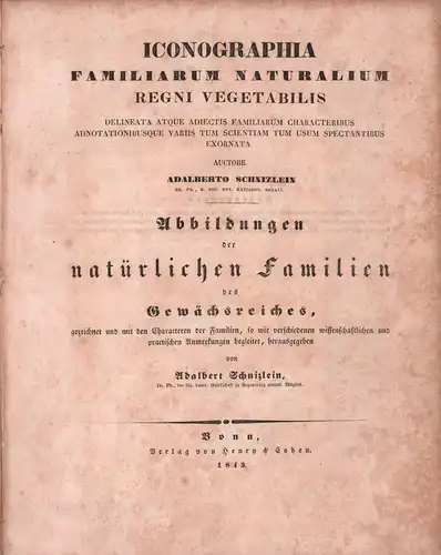 Schnizlein, Adalbert: Iconographia familiarum naturalium regni vegetabilis, delineata atque adiectis familiarum characteribus adnotationibusque variis tum scientiam tum usum spectantibus exornata. Abbildungen der natürlichen Familien des.. 