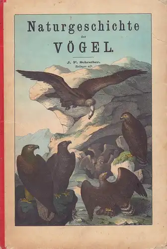 Schubert, G.H. v. [Gotthilf Heinrich von]: Naturgeschichte der Vögel in Bildern, treu, theils nach der Natur, theils nach den ausgezeichnetsten zoologischen Bildensammlungen gezeichnet, fein und.. 