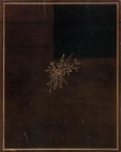 Die moderne Graphik. Eine Darstellung für deren Freunde und Sammler, Singer, H. W. [Hans Wolfgang]