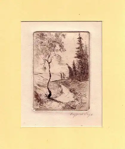 Lüneburger Heide, Vogt, Siegfried
