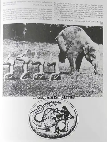 Williams, Heathcote: Elefanten. (Aus dem Engl. von Hans J. Becker). (3. Aufl.). 
