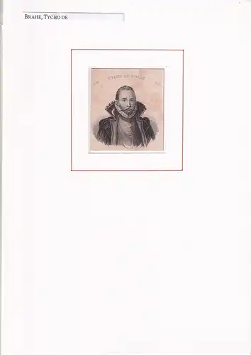 PORTRAIT Tycho de Brahe. (1546 auf Schloß Knutstorp - 1601 Prag. Dänischer Astronom). Schulterstück im Dreiviertelprofil. Stahlstich, Brahe, Tycho de