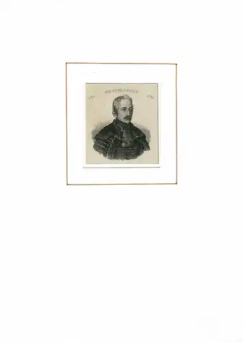 PORTRAIT Alois Mednyansky. (1784 Prekopa - 1844 Freistadt an der Waag. Ungarischer Politiker). Schulterstück im Halbprofil. Stahlstich, Mednyansky, Alois