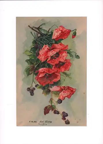 Klatschmohn und Brombeeren [Bouquet]. Original-Aquarell, signiert u. datiert, Rössler, Emil