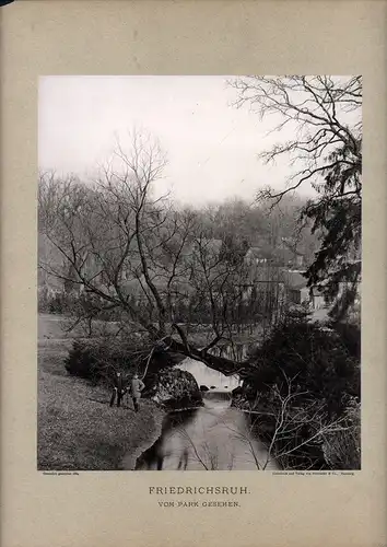 Strumper, Johann Heinrich (1843-1913), Fotograf: Friedrichsruh. Vom Park gesehen. Lichtdruck. Auf hellgrauen Trägerkarton aufgewalzt. 
