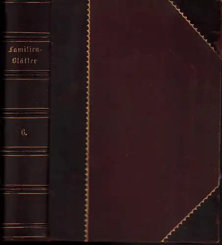 S. Zickel's deutsch-amerikanische Familien-Blätter. JG. 6 / LFG. 1-26 (in einem Band). 