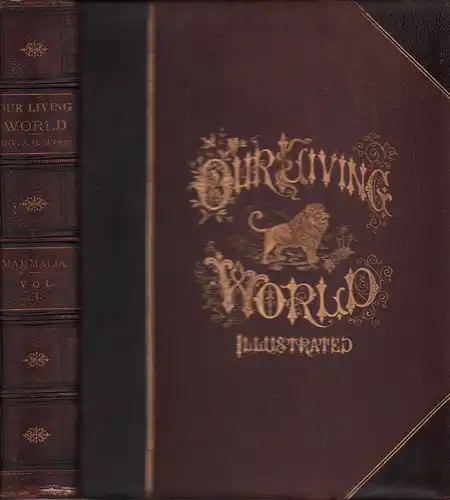 Our living world; An artistic edition of the Rev. J. G. Wood's "Natural history of animate creation". Revised and adapted to American zoology, by Joseph B. Holder. Fully illustrated with scientific accuracy. VOL 1 (of 3): MAMMALIA. 