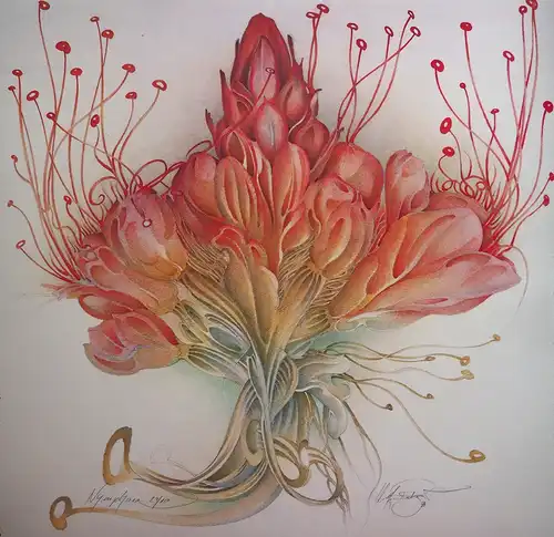 Nymphaea. Farboffsetdruck auf festem Büttenfeinkarton