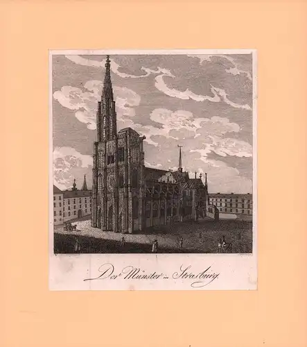 Der Münster in Strasburg. Kupferstich von Schindelmayer