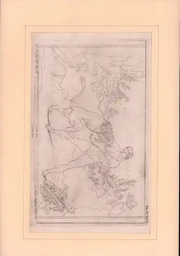 Kilian, Georg Christoph: Ercole giovanetto [Der junge Herkules (mit einem Löwen ringend)]. Kupferstich nach einer Zeichnung von Gio(vanni) Morghen, Florenz. 