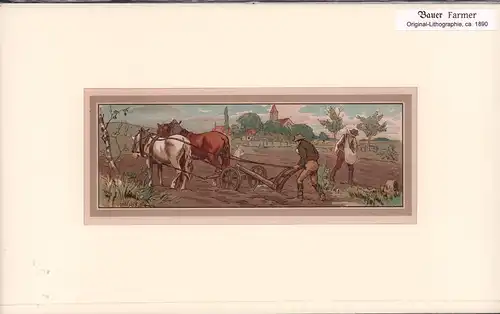 Bauer | Farmer. Original-Chromolithographie. 