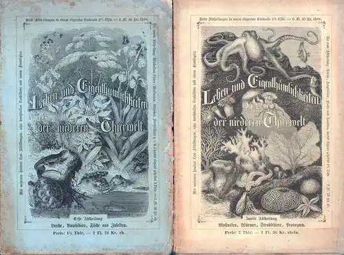 Glaser, Ludwig / Klotz, Carl Ernst: Leben und Eigenthümlichkeiten in der mittleren und niederen Thierwelt. ABTHEILUNG 1: Amphibien, Fische und Gliederthiere / ABTHEILUNG 2: Mollusken, Würmer, Strahltiere, Protozoen. 2 Bde. (= komplett). 