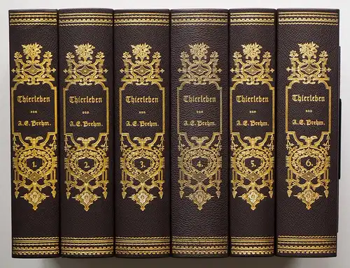 Brehm, Alfred Edmund: Illustrirtes Thierleben. Eine allgemeine Kunde des Thierreichs. Mit Abbildungen, ausgeführt unter Leitung von R. Kretschmer. REPRINT. 6 Bde. + Kommentar-Band. (= komplett). 