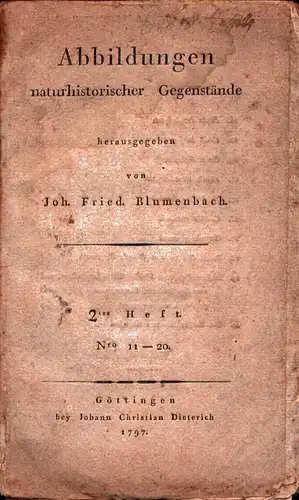 Blumenbach, Joh. Friedr. (Johann Friedrich): Abbildungen naturhistorischer Gegenstände. HEFT 2 (apart), Nro. 11-20. 
