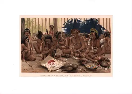 Totenfeier der Bororó-Indianer (Zentralbrasilien). (Nach Original des Prof. C. von den Steinen. Chromolithographie nach W. Kuhnert