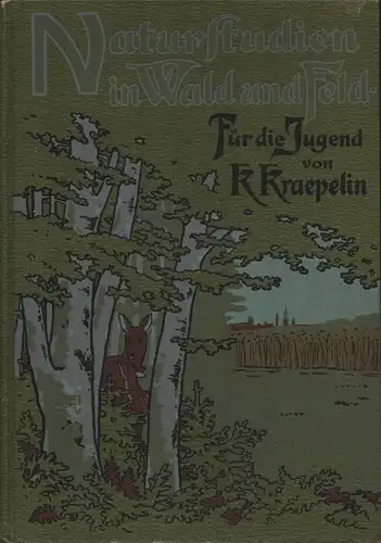 Kraepelin, Karl: Naturstudien in Wald und Feld. Spaziergangs-Plaudereien. Ein Buch für die Jugend. 3. Aufl.
