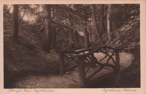 Königl. Bad Oeynhausen - Oeynhauser Schweiz. Postkarte. Kupfertiefdruck im Sepia-Ton.