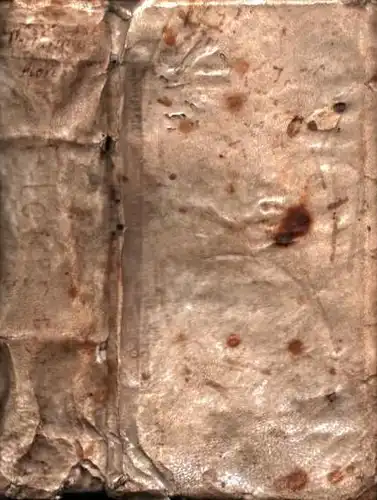 Mirandula, Octavianus: Illustrium poetarum flores, per Octavianum Mirandulam collecti, et in locos communes digesti. 