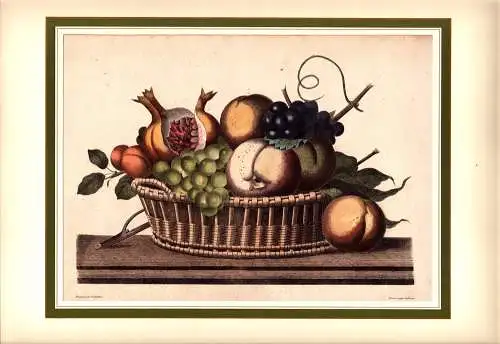 Stilleben mit gefülltem Obstkorb. Handkolorierter Kupferstich. (Zeichn. v. Gabriel / Gravur von Schimed)