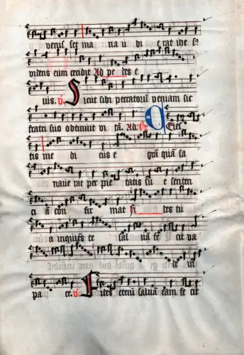 Messgesang: Sicut sibi peccatorum veniam sic fratri suo obtinuit vitam. Notenhandschrift mit Text auf Pergament des 14. Jahrhunderts. 