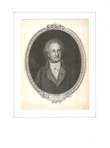 PORTRAIT Goethe. Brustbild im Dreiviertelprofil, Goethe, Johann Wolfgang von