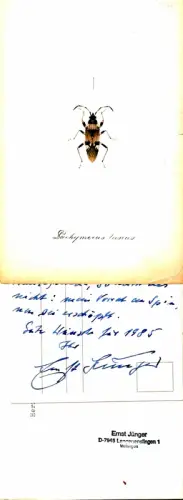 Jünger, Ernst (1895-1998) Schriftsteller, Insektenkundler: Eigenhändige farb. Bildpostkarte mit Unterschrift. Datiert 3.1.1985. Bildseite: Ernst Jünger im Gespräch mit Jorge Luis Borges, Wilflingen 1982. Foto: Ricardo Bada. 