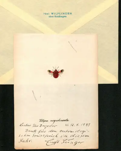 Jünger, Ernst (1895-1998) Schriftsteller, Insektenkundler: Dank für den entomologischen Gruss, auch in diesem Jahr.. Eigenhändige Zeilen mit Unterschrift, datiert W. 12. V. 1981. 