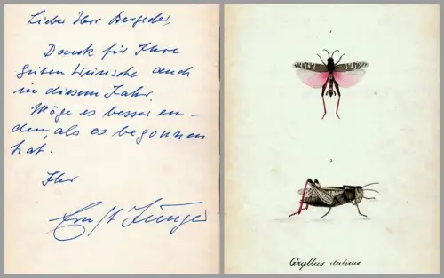 Dank für Ihre guten Wünsche auch in diesem Jahr. Möge es besser enden als es begonnen hat.. Eigenhändige Zeilen mit Unterschrift, datiert 27.1.1991, Jünger, Ernst (1895-1998) Schriftsteller, Insektenkundler