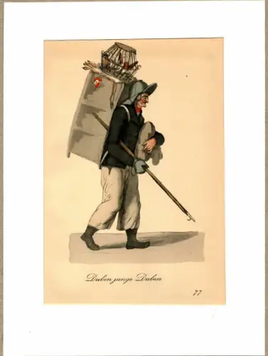 Duben junge Duben! [Tauben! Junge Tauben!]. Taubenhändler | Pigeon Seller. Original-Lithographie, altkoloriert, Suhr, Christopher