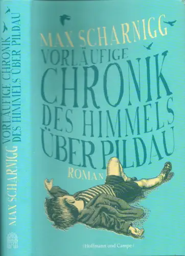 Vorläufige Chronik des Himmels über Pildau. Roman, Scharnigg, Max