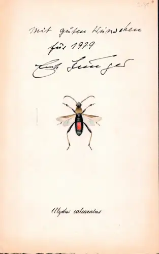 Jünger, Ernst (1895-1998) Schriftsteller, Insektenkundler: Eigenhänd. Grußzeilen mit Unterschrift. "Mit guten Wünschen für 1979". 