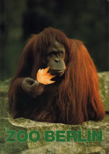 Wegweiser durch den Zoologischen Garten Berlin und sein Aquarium. 43. AUFLAGE. Mit 166 tlw. ganzseit. Farbfotos, Frädrich, Hans