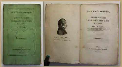 Vallot Histoire Naturelle des Poissons d'eau Douce 1837 Ichthyologie Fische sf