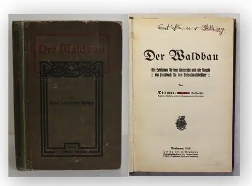Dittmar Der Waldbau 1910 Natur Technik Handwerk Handbuch Leitfaden Umwelt xy
