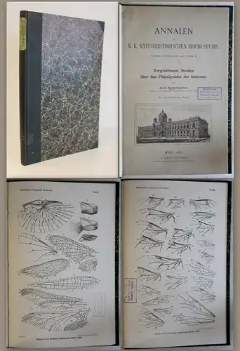 Redtenbacher -Vergleichende Studien über das Flügelgeäder der Insecten 1886 - xz