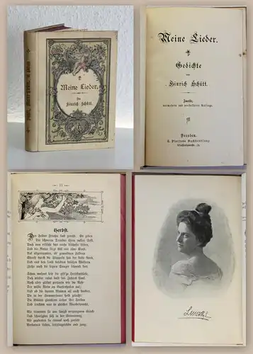 Hinrich Schütt Meine Lieder Gedichte 1899 Klassiker Lyrik Dichtkunst illustriert